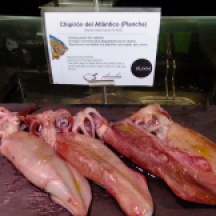 Baby cuttlefish...? in the Mercado.